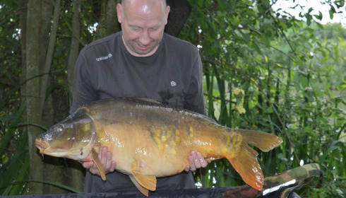 A 31 lb 2 oz carp from Lillypool, Paul Fitzgibbons, Jun 2017