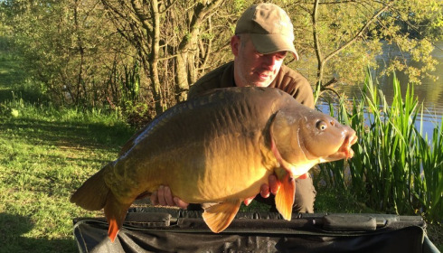 A 29 lb carp from Lillypool, Aaron , May 2016