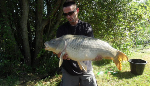 A carp from Lillypool, Kev, Aug 2012