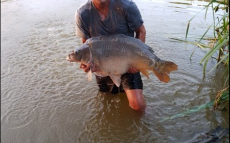 A 46 lb 8 oz carp from Lillypool, Chris Allan, Jul 2018