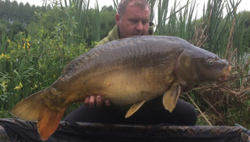 A 29 lb carp from Lillypool, Eddie Hudson, May 2017