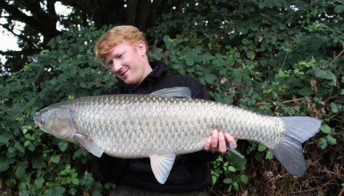 A 25 lb 9 oz grass carp from Lillypool, Darren, Oct 2013