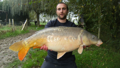 A 25 lb carp from Lillypool, D Watkin, Oct 2012