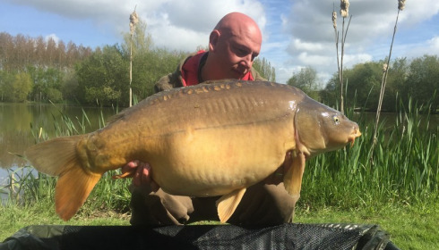 A 33 lb 8 oz carp from Lillypool, Liam, May 2016