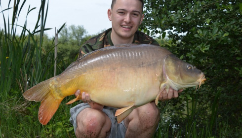 A 31 lb carp from Lillypool, George Dench, Jun 2017
