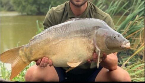 A 31 lb 2 oz carp from Lillypool, Shaun Littler, Sep 2019