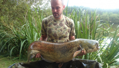 A 56 lb 4 oz catfish from Lillypool, Andrew Ploughman, Jul 2015