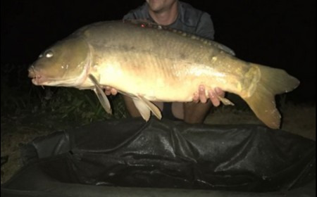 A 29 lb carp from Lillypool, James Barton, Aug 2018