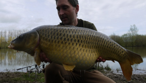 A carp from Lillypool, J Lee, Apr 2013