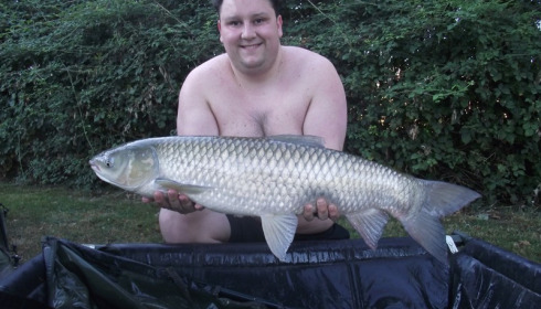 A grass carp from Lillypool, Michael Lock, Sep 2016