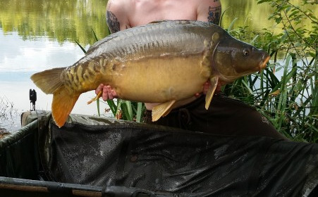 A 36 lb carp from Lillypool, Ryan Bendall, Sep 2014