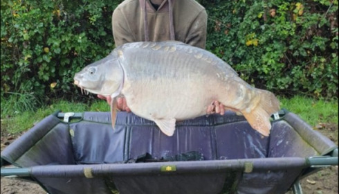 A 50 lb carp from Lillypool, Tom Turner, Oct 2019