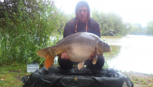 A 31 lb 8 oz carp from Lillypool, Nick Willetts, Jul 2015