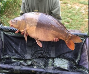 A 37 lb 6 oz carp from Lillypool, Phil Milner, Aug 2018