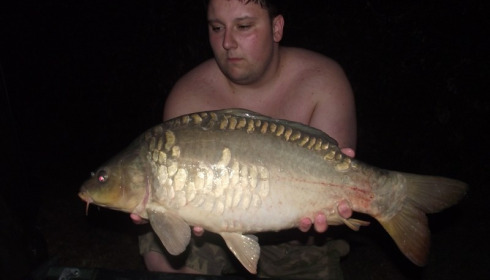 A carp from Lillypool, Michael Lock, Sep 2016