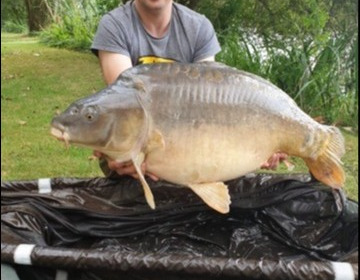 A 48 lb carp from Lillypool, Shaun Cowley, Aug 2019