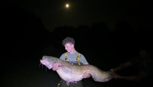 A 79 lb catfish from Lillypool, Jamie Gattie, May 2022