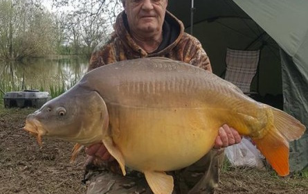 A 36 lb carp from Lillypool, Terry Biggs, Apr 2018