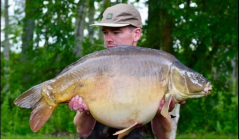 A 41 lb 10 oz carp from Lillypool, Lee Fisher, Jun 2019