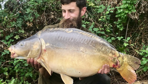 A 34 lb 10 oz carp from Lillypool, Matthew Cartmel, Sep 2019
