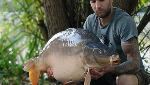 A 35 lb 6 oz carp from Lillypool, Warren Buckley, Sep 2018