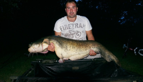 A 50 lb 7 oz catfish from Lillypool, Ste Holmes (pb), Aug 2014