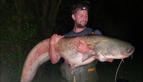 A 60 lb catfish from Lillypool, Matthew Piggott, Jul 2018