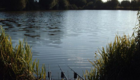 A carp from Lillypool, Aug 2011
