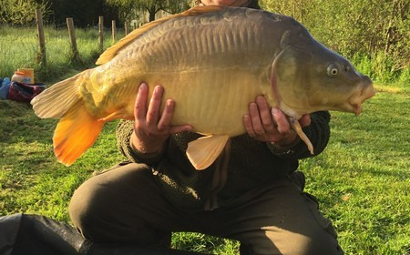 A 32 lb 3 oz carp from Lillypool, Steve Easton, Apr 2016