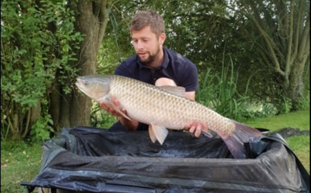 A 21 lb grass carp from Lillypool, Matthew Piggott, Jul 2018