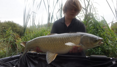 A grass carp from Lillypool, Callum Gordon, Aug 2015