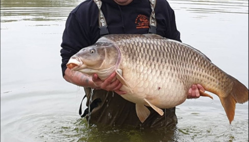 A 50 lb 14 oz carp from Lillypool, Jack Ellis, Apr 2019