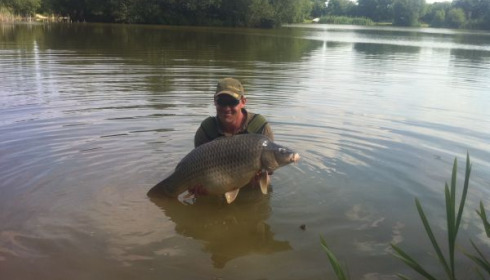 A carp from Lillypool, Si, Jun 2011