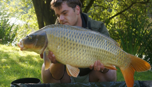 A 27 lb 7 oz carp from Lillypool, Dave Perry, Aug 2014