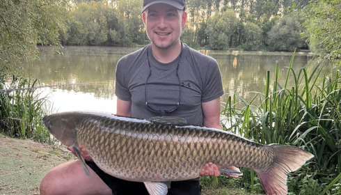 A fish from Lillypool, Jul 2022
