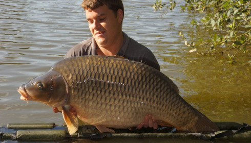 A 42 lb 8 oz carp from Lillypool, Dave Perry (pb), Aug 2014