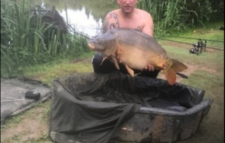 A 28 lb 6 oz carp from Lillypool, Danny Brewster, Jun 2018