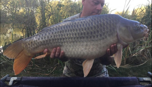 A 25 lb carp from Lillypool, Jason Wood, Sep 2018