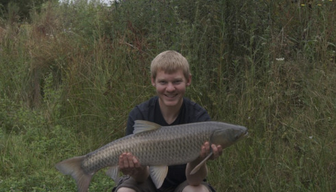 A grass carp from Lillypool, Lee Turley, Jul 2015