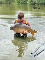 A carp from Lillypool, Owen Donnelly, Jun 2022