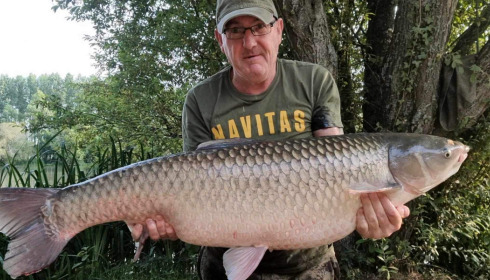 A 44 lb fish from Lillypool, Mark Mulcrone, Jun 2023