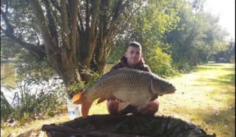 A 36 lb 14 oz carp from Lillypool, Andy Lea, Aug 2019