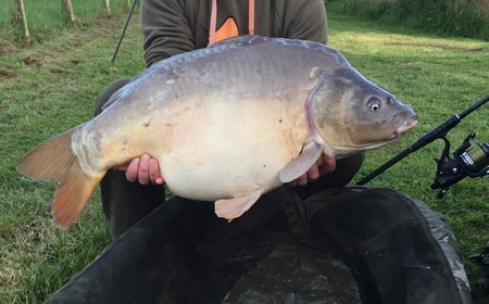 A 28 lb 8 oz carp from Lillypool, Steve Easton, Apr 2016