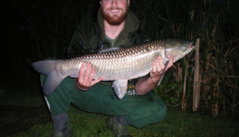 A grass carp from Lillypool, Fred Collier, Jul 2014