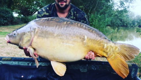 A 42 lb 6 oz carp from Lillypool, Jason Polley, Oct 2016