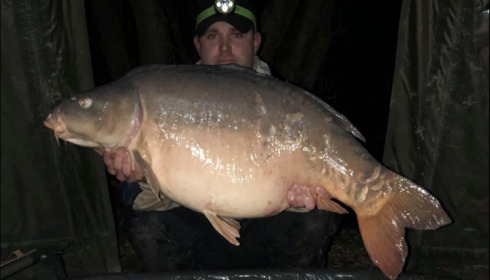 A 50 lb 1 oz carp from Lillypool, Scott Nolan, Nov 2018