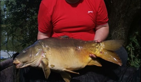 A 33 lb 11 oz carp from Lillypool, Shane Reynolds, Sep 2019