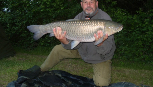A 25 lb 9 oz grass carp from Lillypool, Frank, May 2015