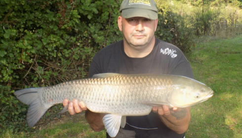 A grass carp from Lillypool, Martin Wiffen, Aug 2015