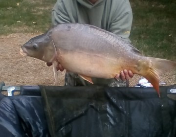 A carp from Lillypool, Phil Milner, Jul 2017